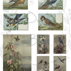 Vintage Birds Digital Journal Kit 4 Pages instant Download Only - Etsy