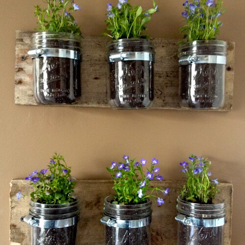 Mason Jar Wall Hanger Planter