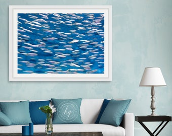 Abstract Fish Photography, Underwater Ocean Photo, Coastal Art, Beach Decor, Nautical Art, Aquarium Picture, Large Artwork, Blue Aqua White