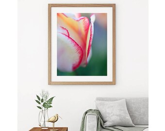 Botanical Photography, Macro Tulip Photo, Flower Petal Art, Vertical Wall Art, Colorful Spring Artwork, Peaceful Zen Decor Pink Green Yellow