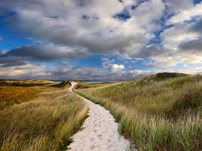 Framed Art Martha's Vineyard Photography Beach Wall Etsy