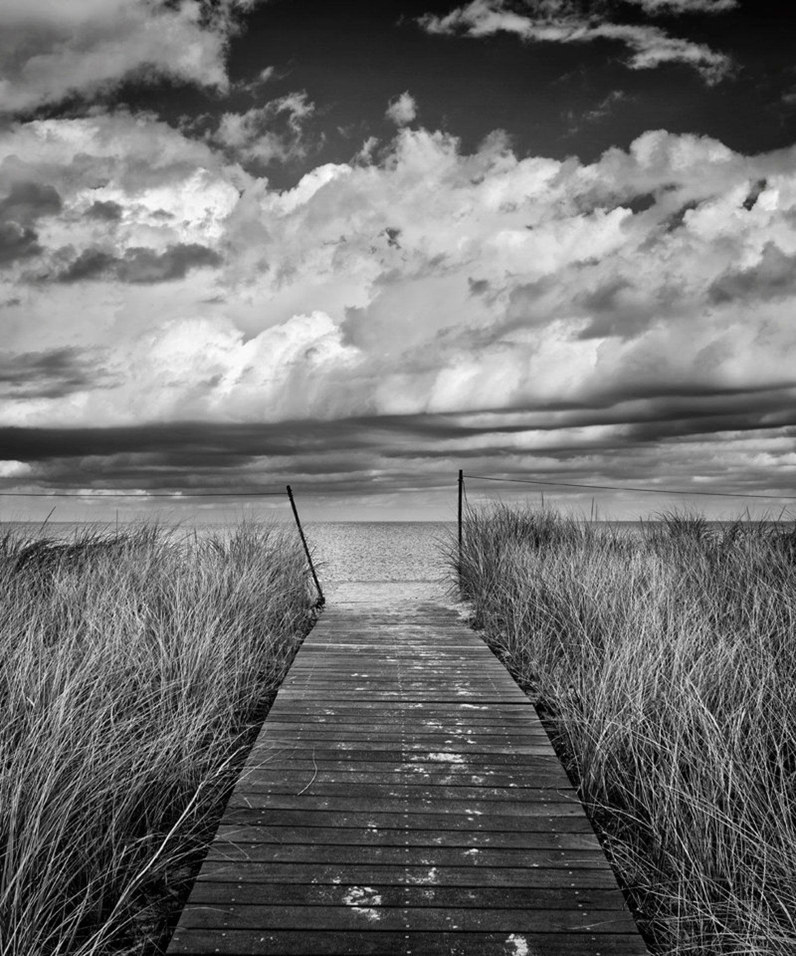 Black and White Photography Beach Photo Set Martha's - Etsy
