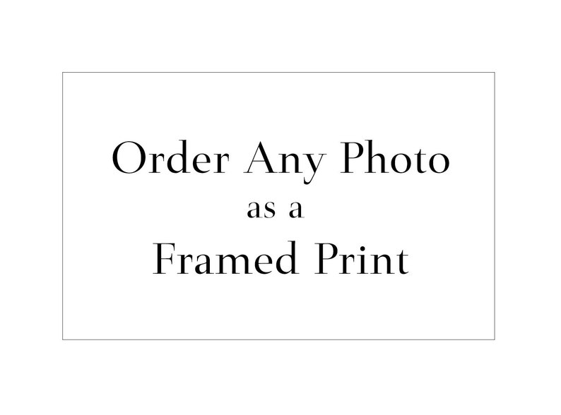 Custom Framed Photo Print Order Any Image as a Framed Print Etsy