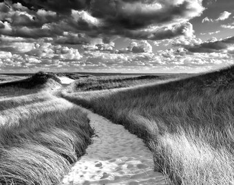 Black and White Beach Photography Oversized Print Large Wall Art Martha's Vineyard Cape Cod Beach Path Sea Grass Dunes Grey Silver Coastal