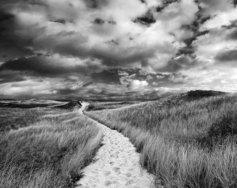 Black and White Beach Photography, Martha's Vineyard Photo Dunes Path Picture Coastal Decor Nautical Artwork Extra Large Art Oversized Print