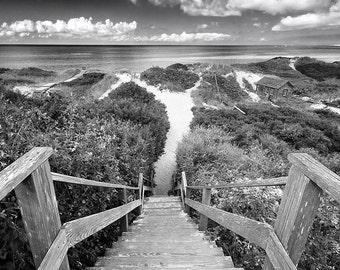 Black and White Photography Nantucket Photo Steps Beach Picture Cape Cod Art Large Art Print Coastal Decor Nautical Artwork Dunes Photograph