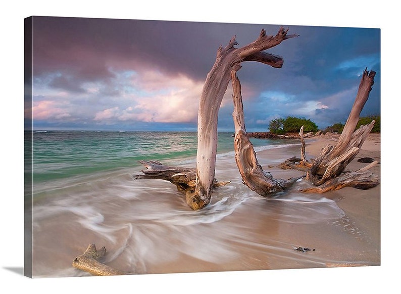 Driftwood Beach Canvas Art Print Large Ocean Wall Decor Etsy