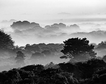 Large Black White Nantucket Photography, Trees Moors Photograph, Fine Art Landscape Print, Foggy Moody Artwork, Oversize Cape Cod Art Photo