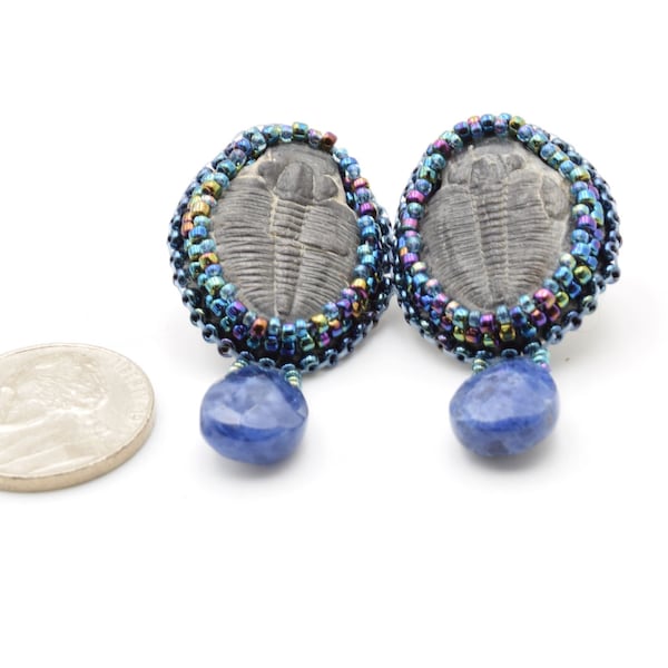 Trilobyte Fossils Earrings, Bead Embroidered, Blue seed beads, Sodalite Briolette Teardrop Dangle.  Post earring finding, OOAK Jewelry.
