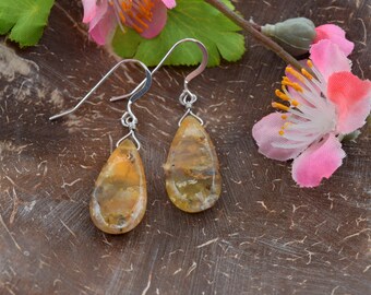 Fossil Earrings, Palm root Stone, Sterling Silver Earrings, Teardrop shaped stones, Handmade in Colorado, Minimalist Style, Golden stones