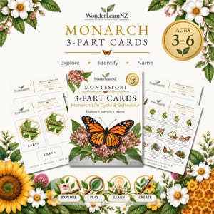 May include: A set of educational Monarch 3-Part Cards featuring life cycle and behavior illustrations. The cards display a Monarch butterfly, larvae, and various life stages with text labels. The design includes floral accents and gold circular badges.