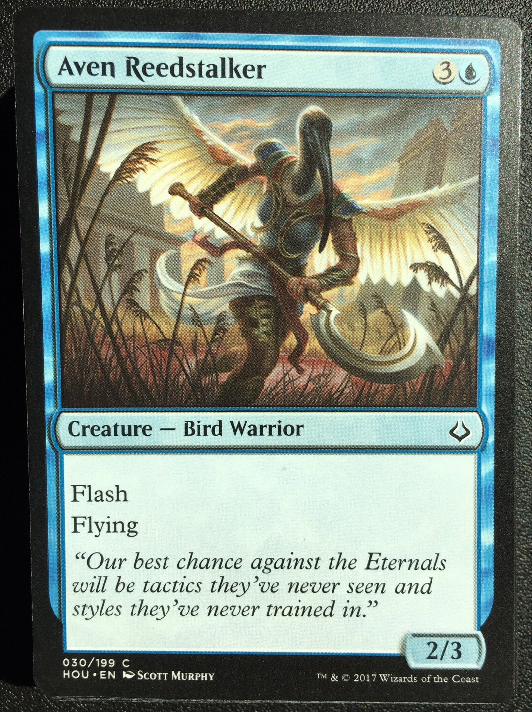 Aven Reedstalker, Limited Edition Magic the Gathering Artist Proof Card