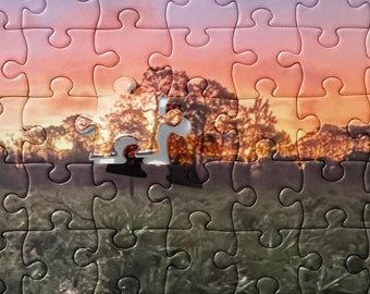 Jigsaw puzzle Florida Dawn