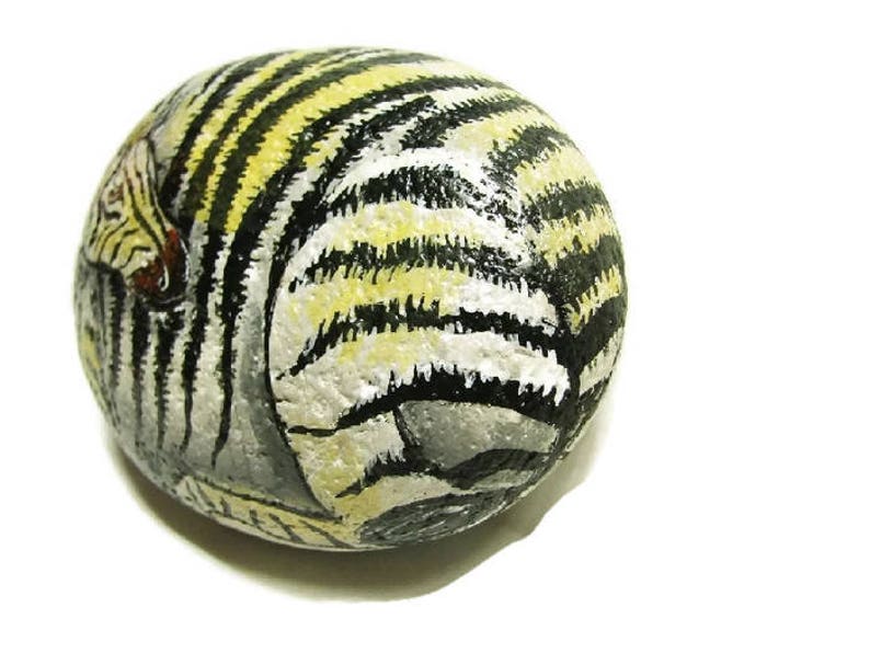 Zebra hand painted rock stone horse zoo rock art strips Etsy