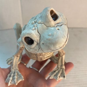Cabeza articulada de rana esqueleto, esqueleto de rana de Halloween