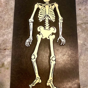 Vintage Halloween skeleton glow in the dark Krystal’s advertising promo Mc Glow bones poster