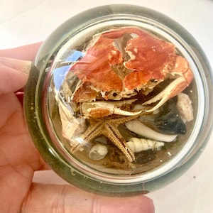Vintage paperweight with provenance  crab shells starfish and encased in glass