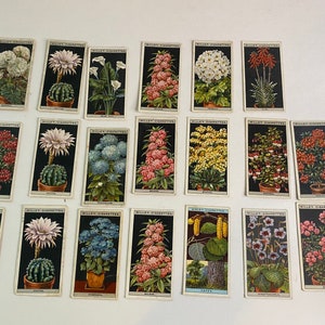 May include: A collection of vintage Will's Cigarettes trading cards featuring botanical illustrations. Each card displays a different flower or plant against a black background. The cards are rectangular with a white border and text at the top.