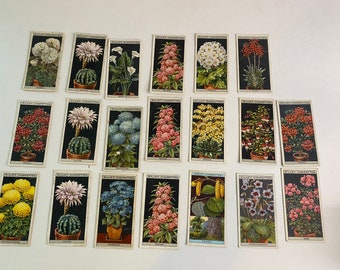 Vintage cigarette card lot of 20 flower culture in pots series
