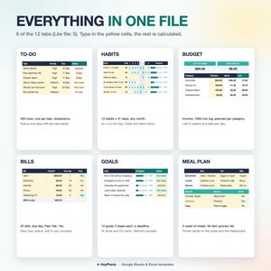Life Planner Spreadsheet, Budget, Habit Tracker, To Do List, Goals, Weekly Planner (Google Sheets, Excel) imagen 8
