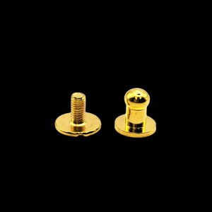 May include: Two gold-toned metal screw-on fasteners. One fastener has a round head and the other has a flat head with a screw.