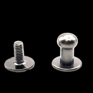 May include: Two silver metal screw-on fasteners with a round head and a flat base.