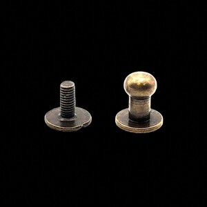 10 Button Studs Medium Ant Brass