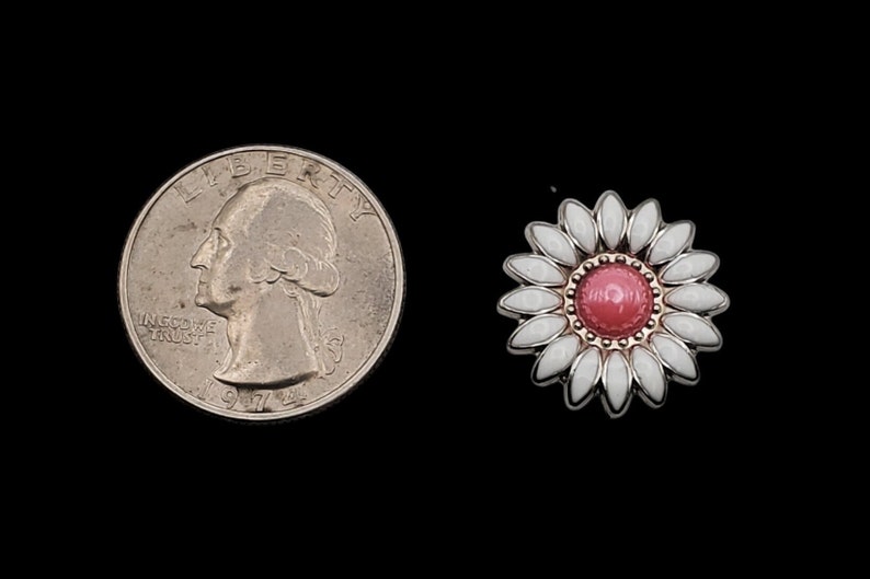 3/4 Daisy White/Pink Screw-back Concho image 4