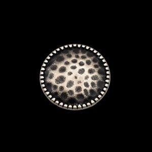 May include: A silver-toned button with a textured, hammered surface and a black border.