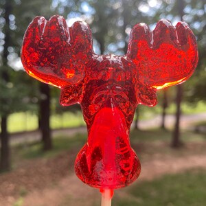 May include: A red candy lollipop shaped like a moose head. The candy is clear and has a shiny finish. The lollipop is on a stick.