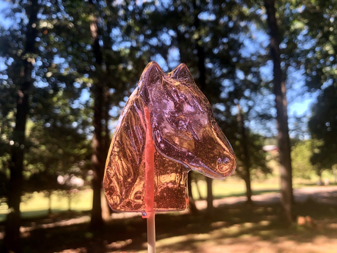 Horse/pony Lollipops 12, Kids Party, Wedding Favors, Spring Lollipops