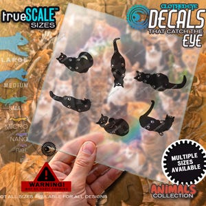 May include: A transparent sheet featuring six black cat silhouettes with white paw print patterns. The sheet includes text reading trueSCALE SIZES, CLOTHEDEYE DECALS THAT CATCH THE EYE, MULTIPLE SIZES AVAILABLE, and a red warning triangle with text.