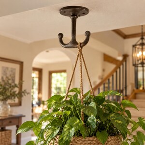 May include: A dark brown, double-pronged metal ceiling hook mounted to a flat surface. The hook supports a hanging planter with a woven rope hanger, holding a lush green pothos plant with variegated heart-shaped leaves and trailing vines.
