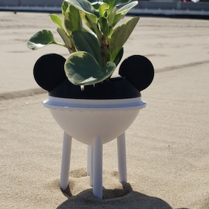 Inspired by Disney Water Tower, succulent planter.