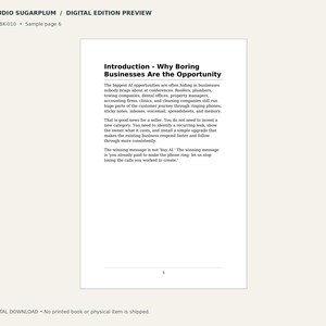 Negocios aburridos que desangran dinero / Libro electrónico en PDF / Negocios / Guía de ventas con IA imagen 4