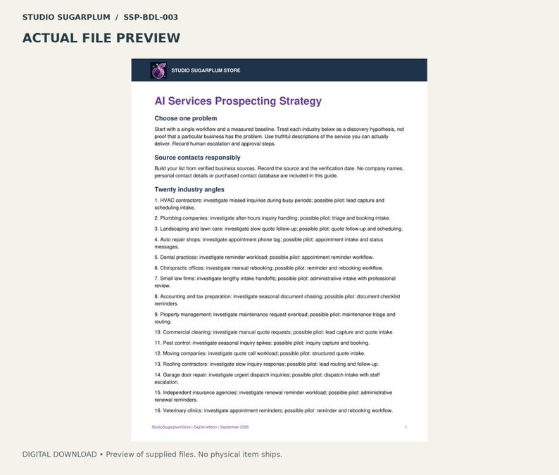 AI Services Prospecting Kit | Digital Download image 2
