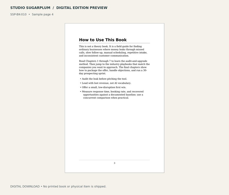 Negocios aburridos que desangran dinero / Libro electrónico en PDF / Negocios / Guía de ventas con IA imagen 3