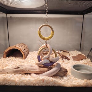 Handmade Wooden Snake Enrichment Swing Hanging Climbing Rings Reptile Terrarium Decor Toy