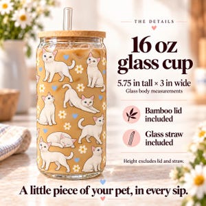 Size and details of the 16 oz glass cup: approximately 5.75 inches tall by 3 inches wide, with bamboo lid and glass straw.