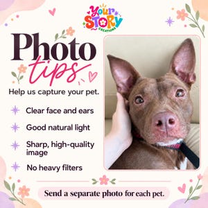 Pet photo tips: show the full face and ears, use good natural light and a sharp image, avoid heavy filters, and send a separate photo for each pet.
