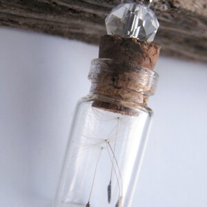 Dandelion Seed Glass Bottle Necklace Dandelion Seeds in Tiny Vial Pressed Flower Jewelry Glass Bottle Pendant Botanical jewelry image 3