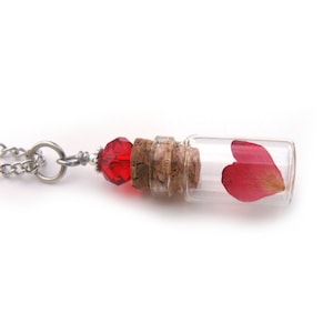 Heart Rose Petal Glass Bottle Necklace - Flower Petal in Glass Vial -  Pressed Flower Jewelry - Glass Bottle Pendant -  Botanical Jewelry