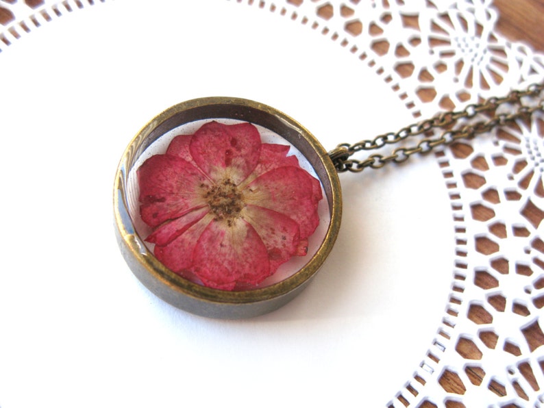 rose encased in resin rose encased in resin
