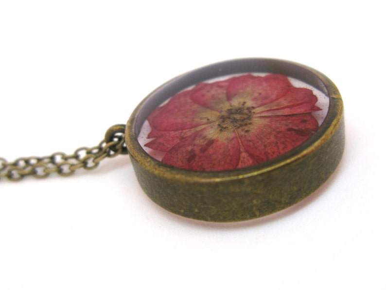 rose encased in resin rose encased in resin