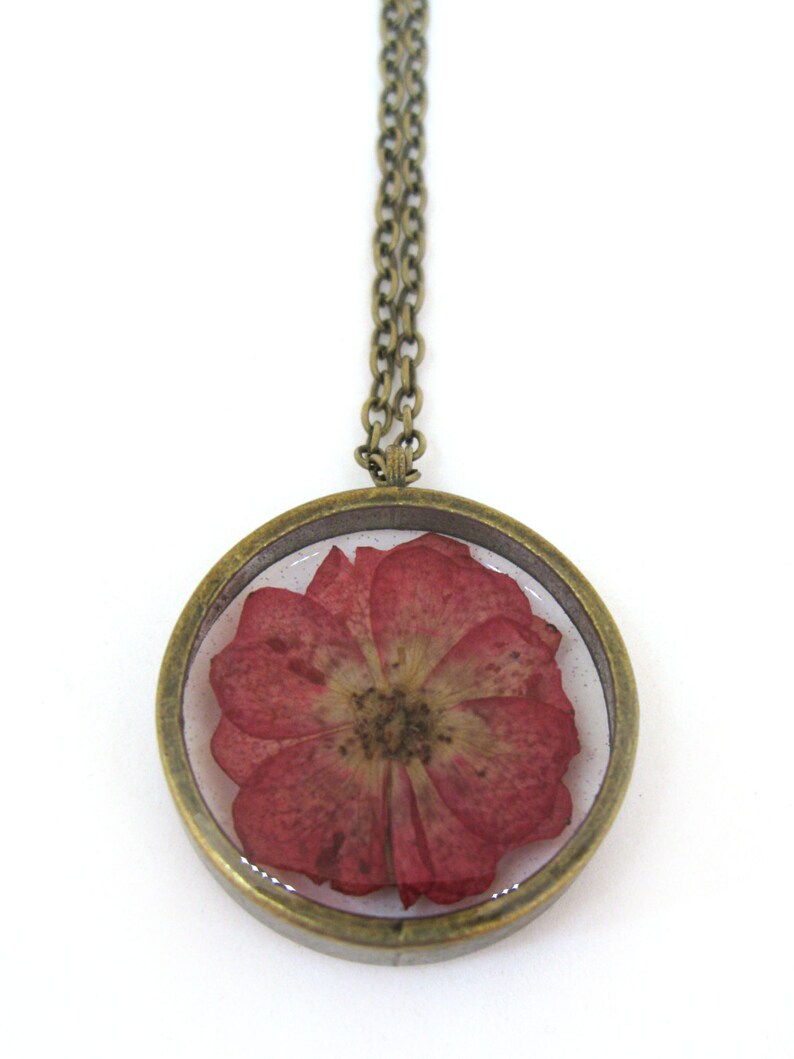 rose encased in resin rose encased in resin