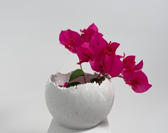 Small light-gray concrete vessel sculpture. Sustainable. Live edge. Bowl with a natural shiny outside surface. Wabi-sabi style.
