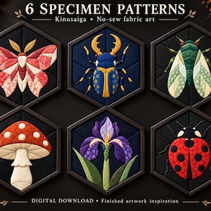 May include: Six hexagonal Kinusaiga no-sew fabric art panels featuring specimen patterns of a moth, beetle, cicada, mushroom, iris flower, and ladybug. Each design is crafted with fabric pieces on a dark background, labeled 6 SPECIMEN PATTERNS.