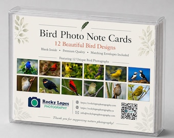 Bird Photo Note Cards, Set of 12, Original Photography, Blank Inside