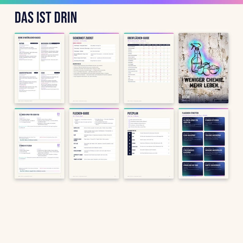 Peut inclure: Un guide num&eacute;rique intitul&eacute; DAS IST DRIN comprenant huit pages d'instructions de nettoyage, de listes d'ingr&eacute;dients et de guides de surfaces. Les pages incluent du texte en allemand, une illustration de vaporisateur et des &eacute;tiquettes.