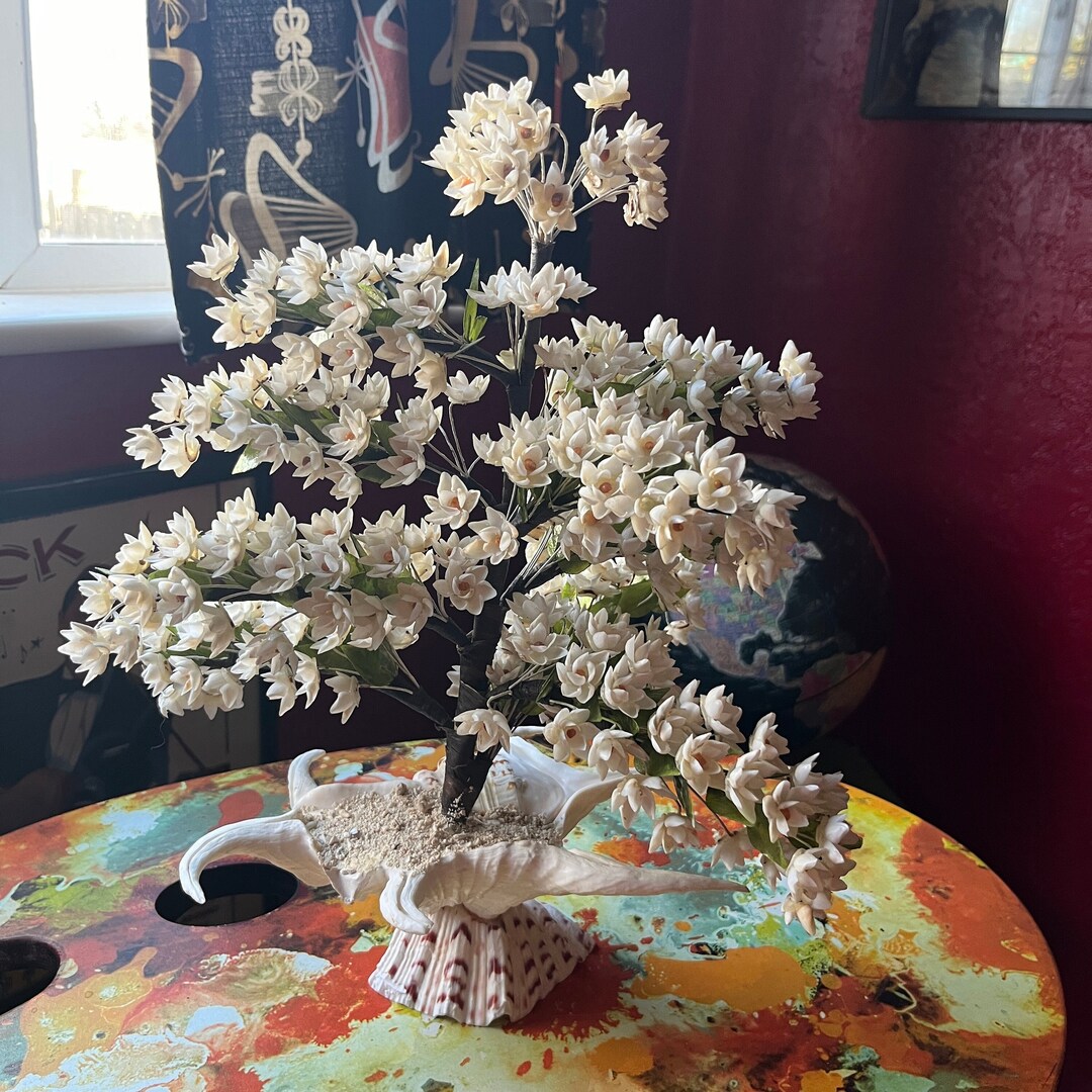 Bonsai Shell Vintage Shell Flower Bonsai Prosperity Tree . Mid Century Seashell ...